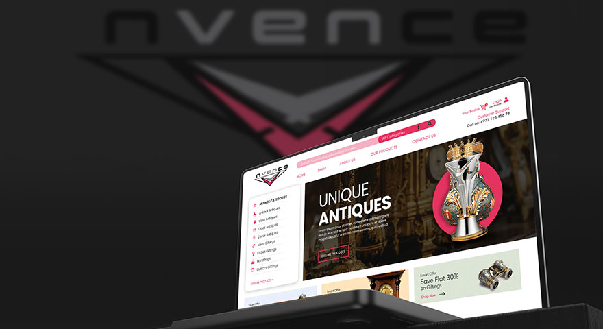 Web development